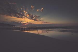 Sunset on beach with a wooden breakwater in Leba, Baltic Sea, Poland photo