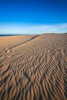 Dune of Punta Paloma, Tarifa, Andalusia, Spain photo