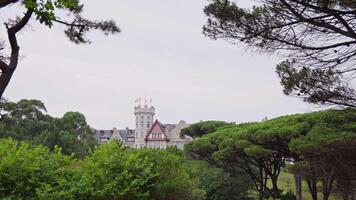 Large building surrounded by trees under cloudy sky video