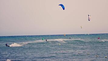 Group of people kite surfing in ocean video