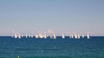 Group of sailboats sailing in the ocean video