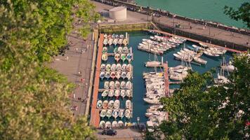 Busy marina filled with white boats video