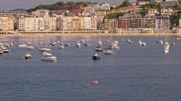 Bustling harbor scene with numerous boats video