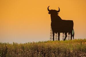 A typical black bull along the spanish roads photo