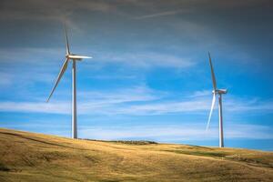 Windmills for electric power production photo