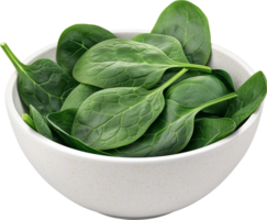 Fresh spinach leaves in a bowl isolated on a transparent background png