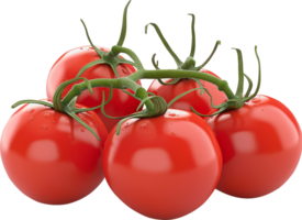 Fresh Crimson ripe tomatoes isolated on a transparent background png