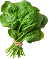 a bunch of green Spinach vegetables isolated on a transparent background png