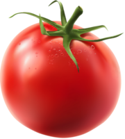 A Fresh Ripe Tomato isolated on a transparent background png