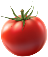 en färsk mogen tomat isolerat på en transparent bakgrund png