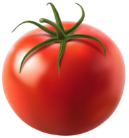 A Fresh Ripe Tomato isolated on a transparent background png