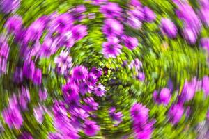 Abstract flower photography. Blurred motion background of flowers. photo