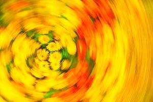 Abstract flower photography. Blurred motion background of flowers. photo