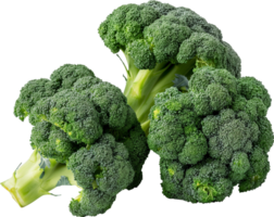 A green and fresh broccoli vegetable isolated png