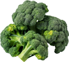 A green and fresh broccoli vegetable isolated png