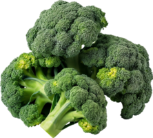 une vert et Frais brocoli légume isolé png