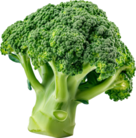un' fresco verde broccoli verdura isolato su un' trasparente sfondo png