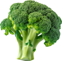 A Fresh green Broccoli vegetable isolated on a transparent background png