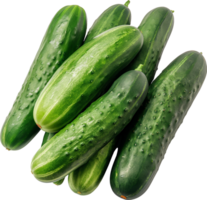 Fresh Green Cucumber isolated on a transparent background png