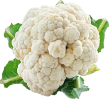 Fresco blanco coliflor vegetal aislado en un transparente antecedentes png