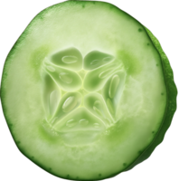 Cucumber round slice isolated on a transparent background png