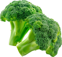 en grön och färsk broccoli vegetabiliska isolerat png