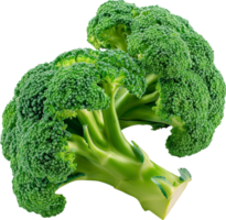 A green and fresh broccoli vegetable isolated png