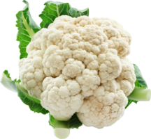 Fresco blanco coliflor vegetal aislado en un transparente antecedentes png