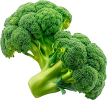 A green and fresh broccoli vegetable isolated png