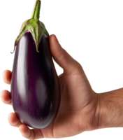 een onherkenbaar persoon tonen een aubergine groente geïsoleerd png