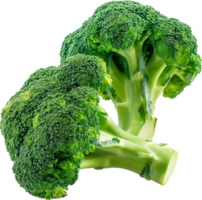 A green and fresh broccoli vegetable isolated png