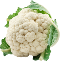 Fresco blanco coliflor vegetal aislado en un transparente antecedentes png