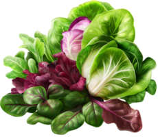 Fresh and green Spring mix vegetables isolated png