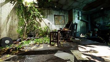 An abandoned room filled with overgrown plants and scattered debris photo