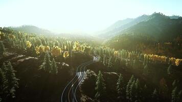 A scenic mountain road winding through a forest during a captivating sunset photo
