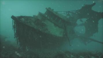 A ship in the ocean covered in seaweed photo