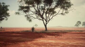 A scenic landscape with red dirt field and trees in the distance photo