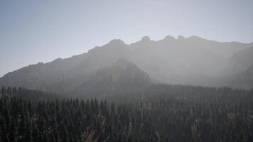 A view of a mountain range with trees in the foreground photo