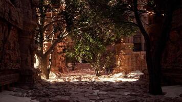 A stone walkway with trees and a building in the background photo