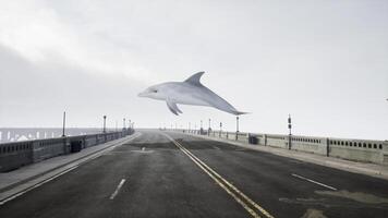 A dolphin is flying over a bridge on a foggy day photo