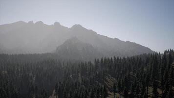 A view of a mountain with trees in the foreground photo