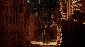 A tree in the middle of a narrow alley way photo