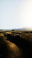 Grassy Plain With Rocks and Grass photo