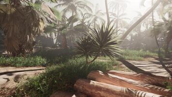 A screenshot of a jungle with palm trees photo