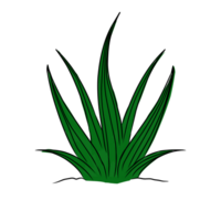 Aesthetic grass illustration png