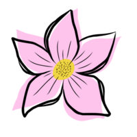 Flower aesthetic illustration png