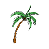 Summer palm leaves illustration png