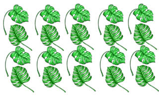 Summer monstera leaves pattern png