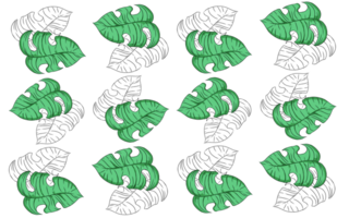 Summer monstera leaves pattern png