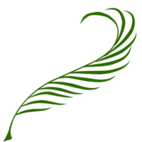 été paume feuilles illustration png